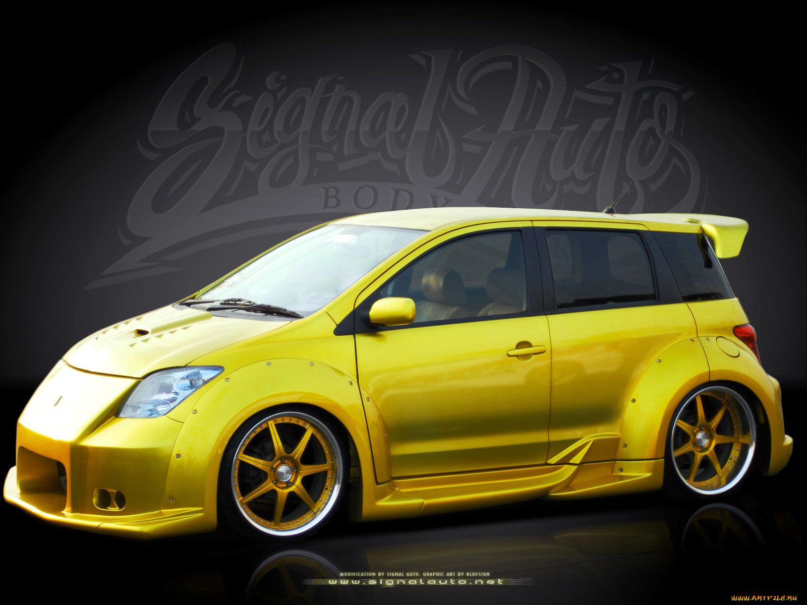 , scion